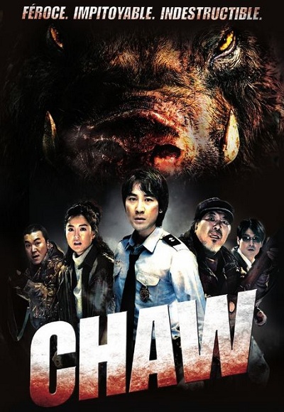 Chawu (2009) (In Hindi)