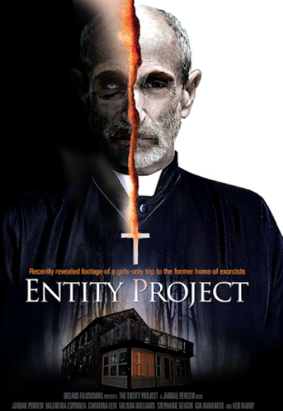 Entity Project (2019) (In Hindi)