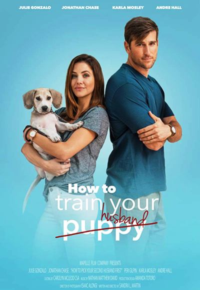 How to Train Your Husband (2018) (In Hindi)