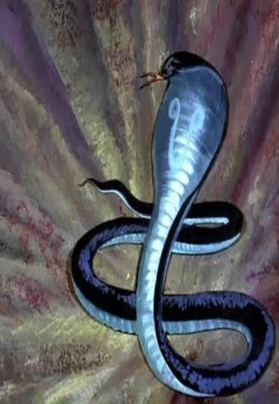 Nag Aur Kauwa (The Crow and the Snake) – Short Film