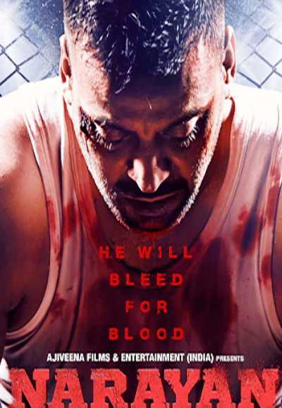 Narayan (2017)