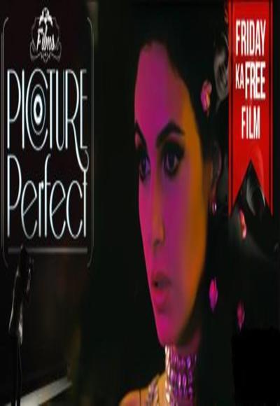 Picture Perfect (2015)