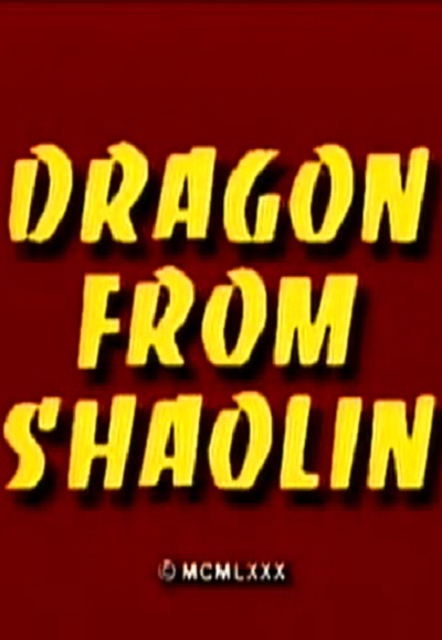 Shaolin Se Aaya Dragon (In Hindi)