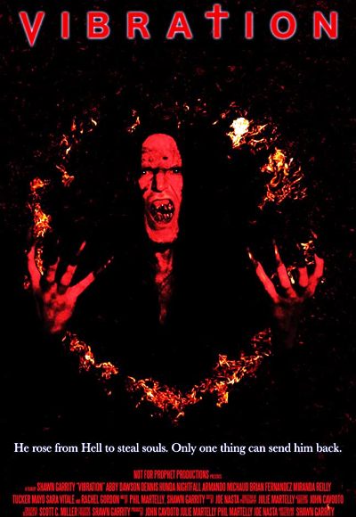 Vibration (2020) (In Hindi)