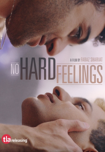 No Hard Feelings (2020) (In Hindi)