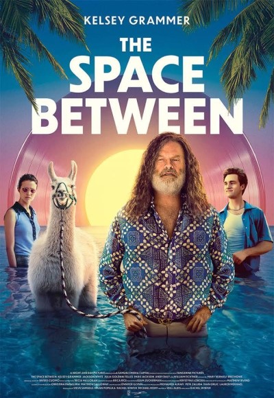 The Space Between (2021) (In Hindi)