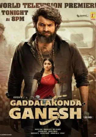 Gaddalakonda Ganesh 2019 Hindi