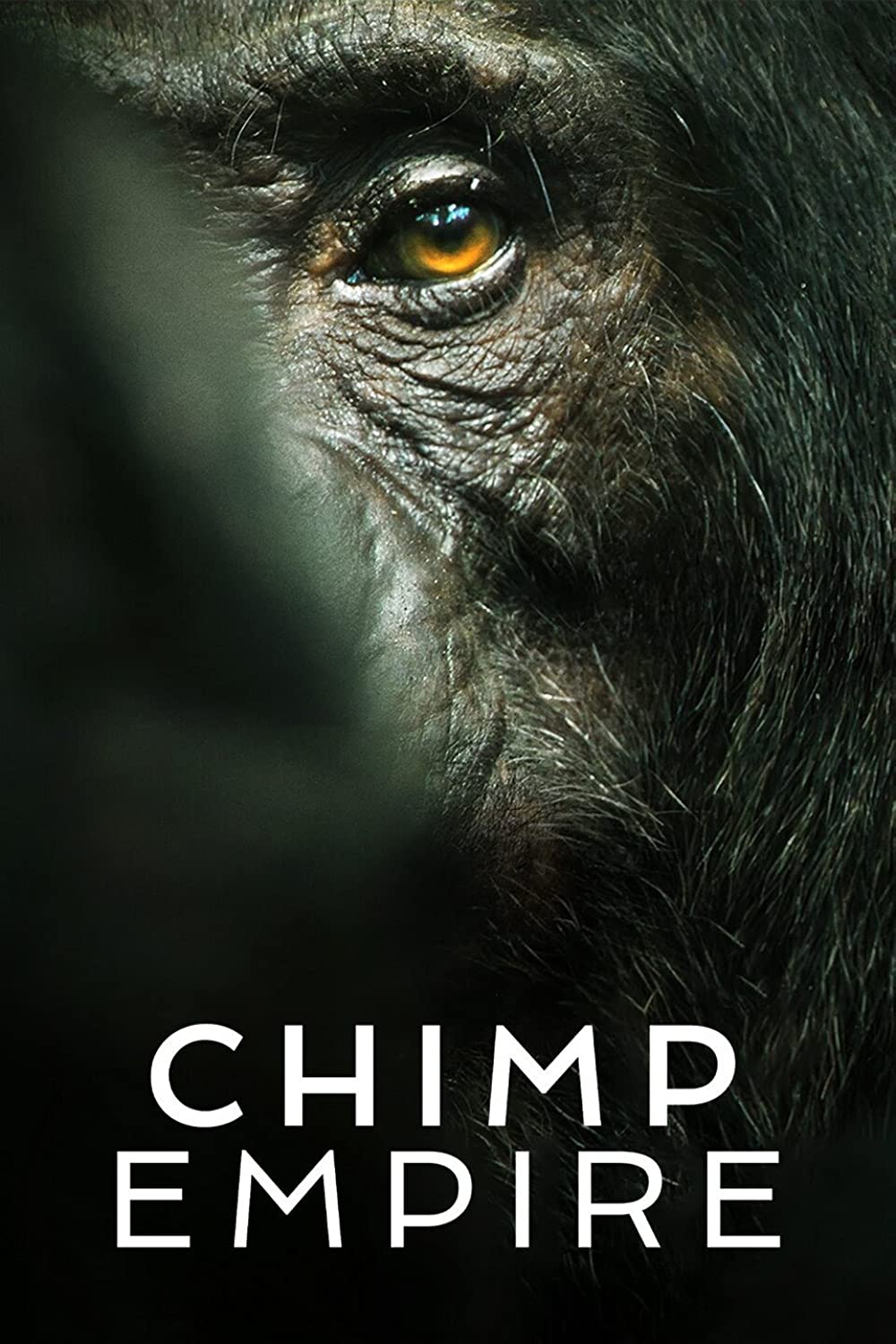 Chimp Empire (2023) Hindi Season 1 Complete
