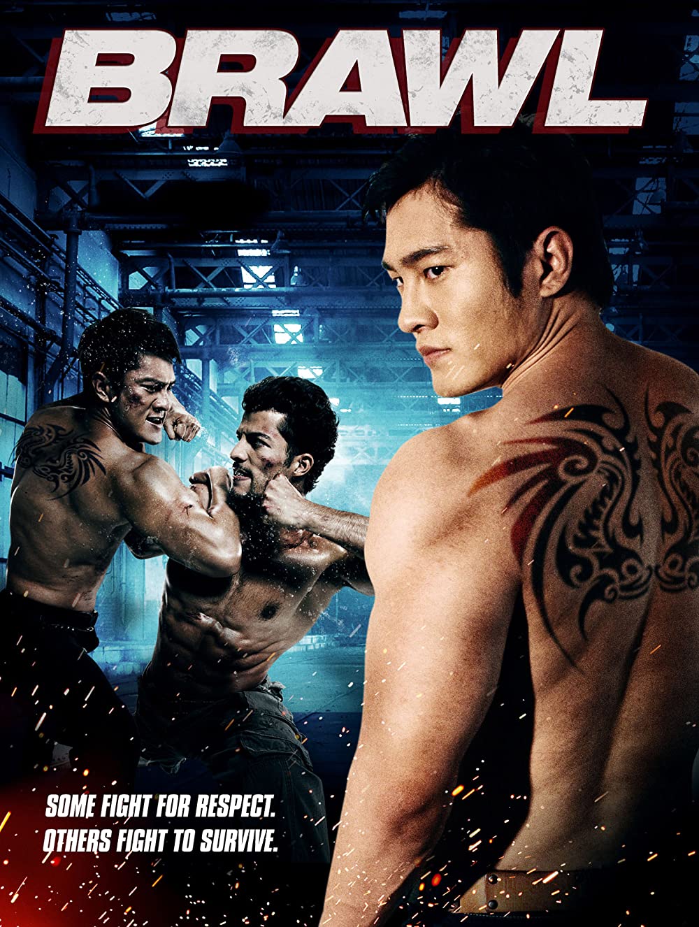 Brawl 2012 Hindi