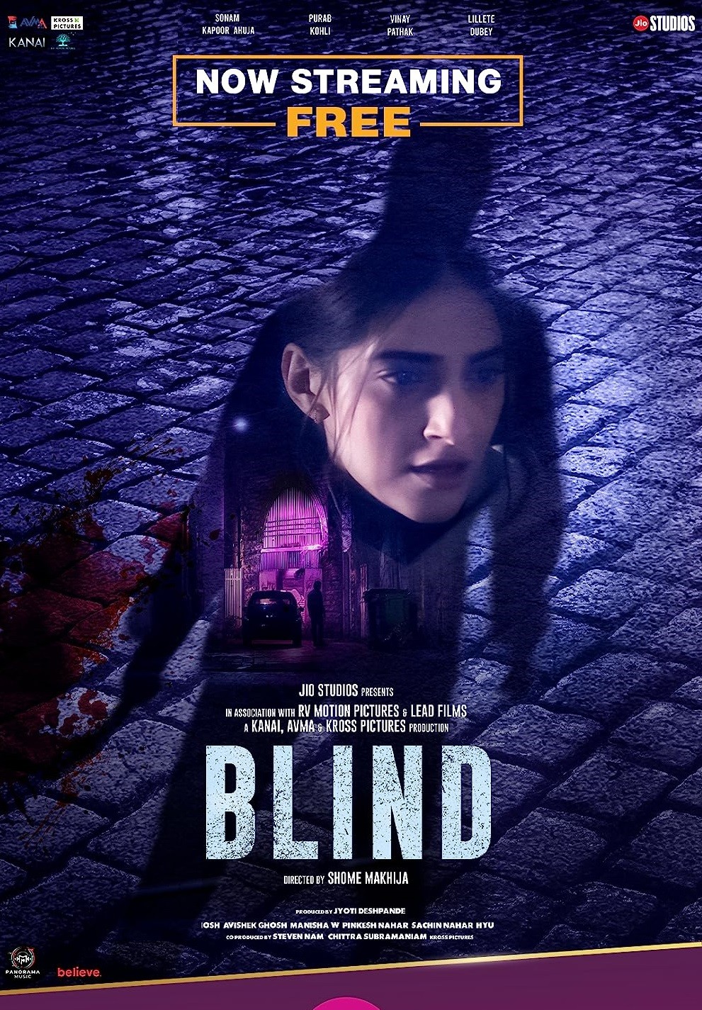 Blind 2023 Hindi