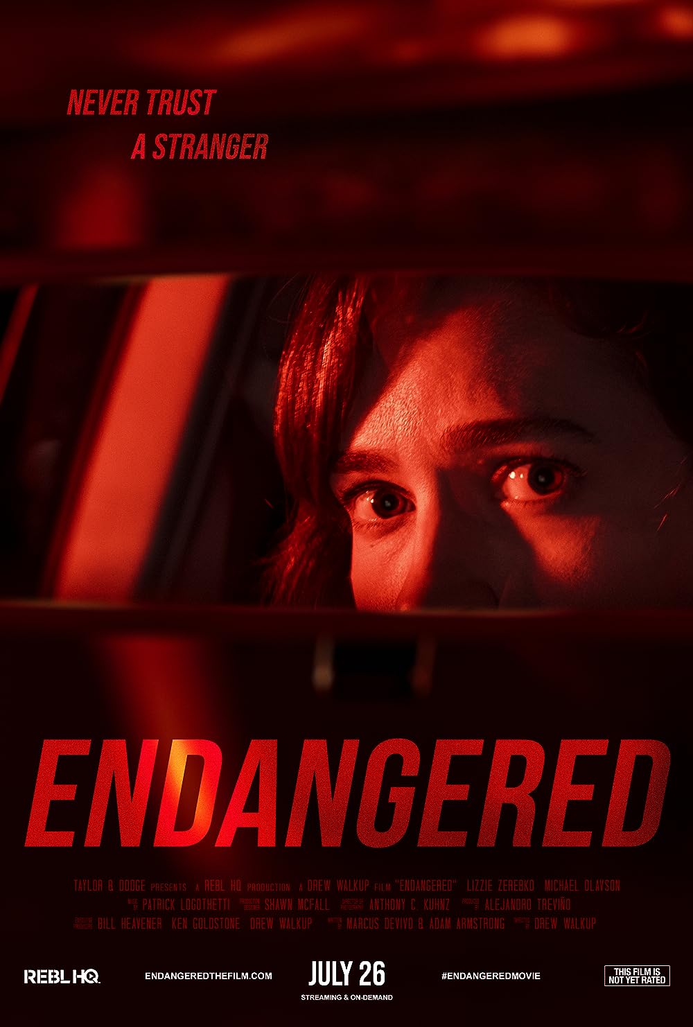 Endangered (2020) Hindi