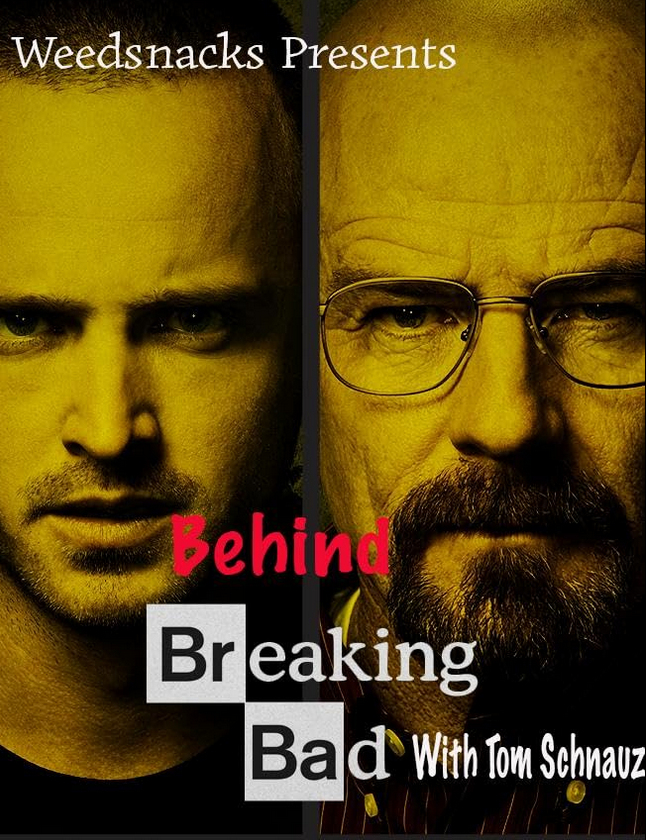 Breaking Bad (2023) Hindi Dubbed Season 5 Complete