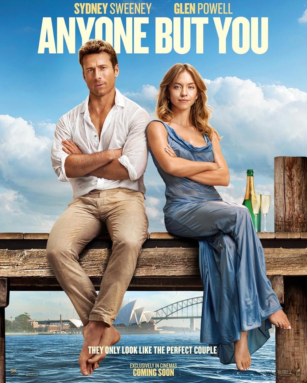 Anyone But You (2023) Hindi