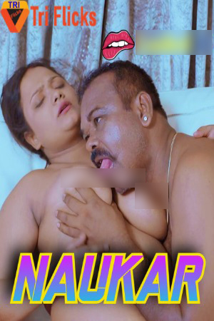 Naukar 2024 Hindi Triflicks Short Films