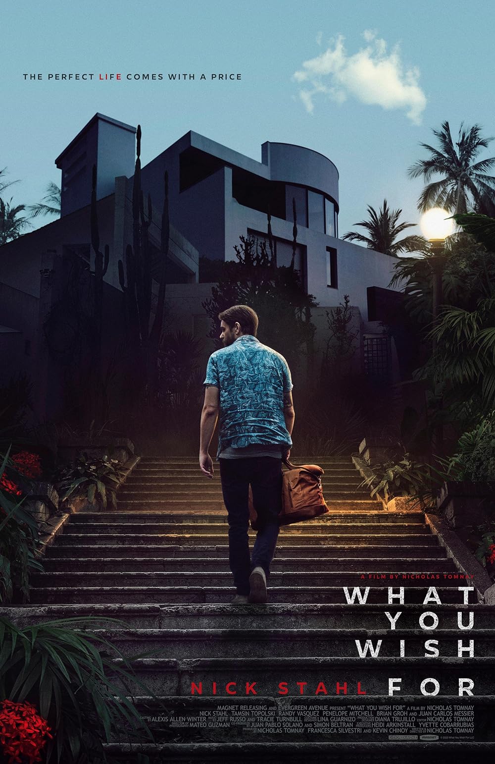 What You Wish For (2023) Hindi Dubbed AMZN