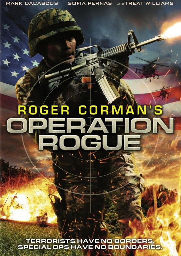 Operation Rogue (2014) Hindi Dubbed