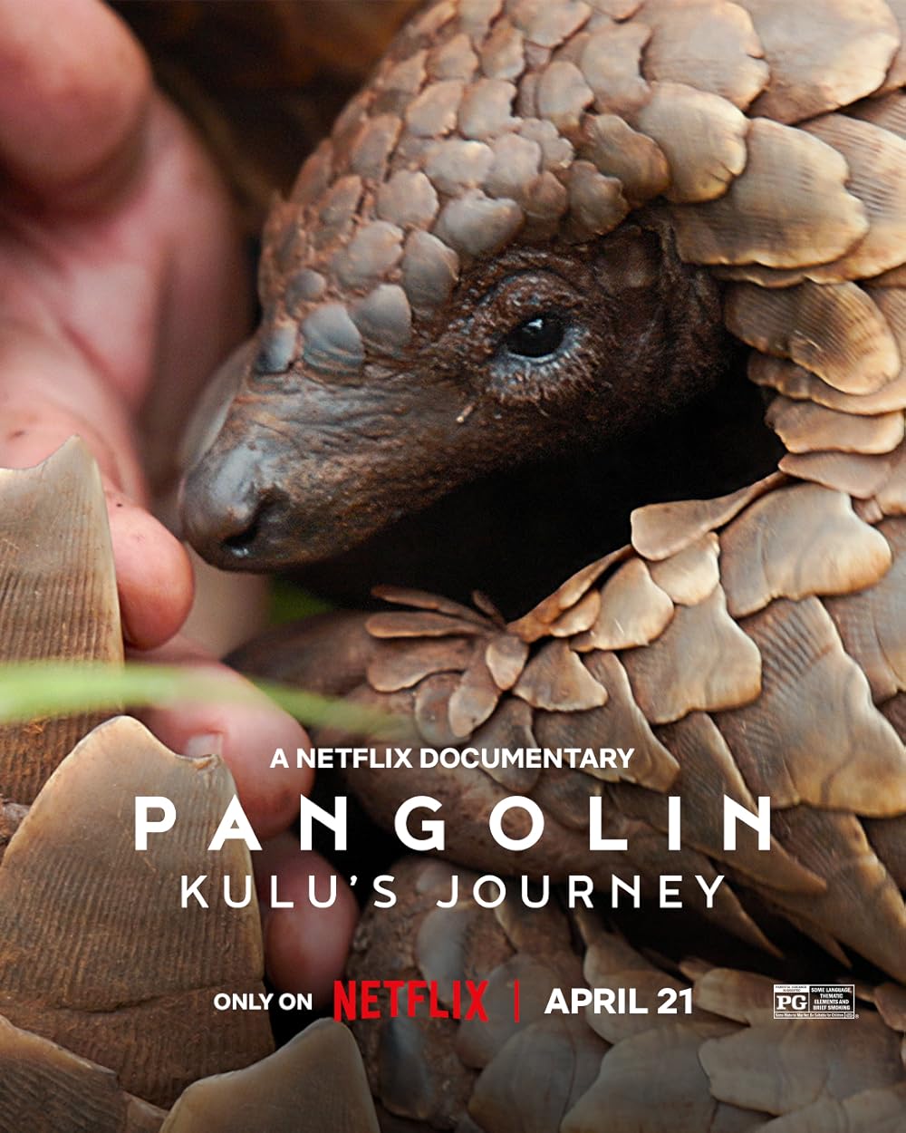Pangolin- Kulus Journey (2025) Hindi Dubbed Netflix