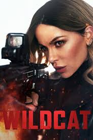 Wildcat 2025 Hindi Dubbed LGP