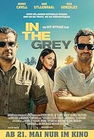 In the Grey (2026) Hindi Dubbed HDTS